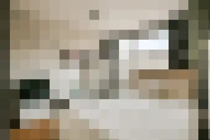 Kuifvlinder 12 Diemen thumbnail 13