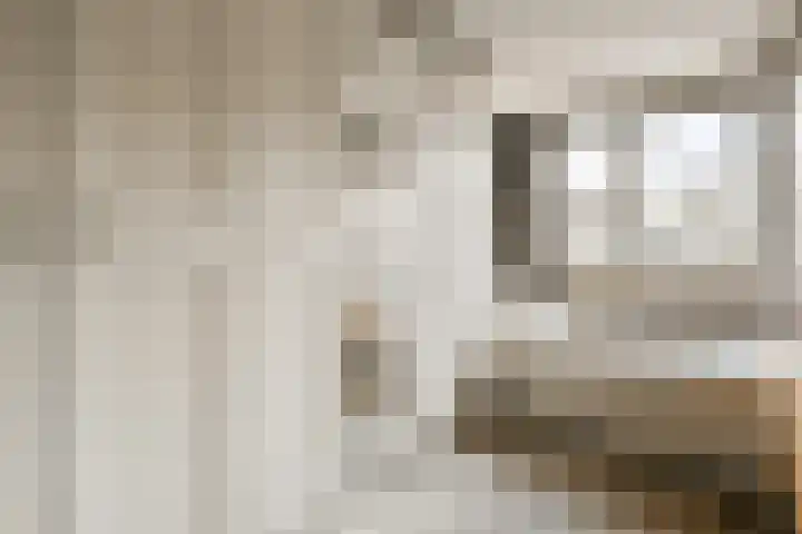 Kuifvlinder 12 Diemen thumbnail 15