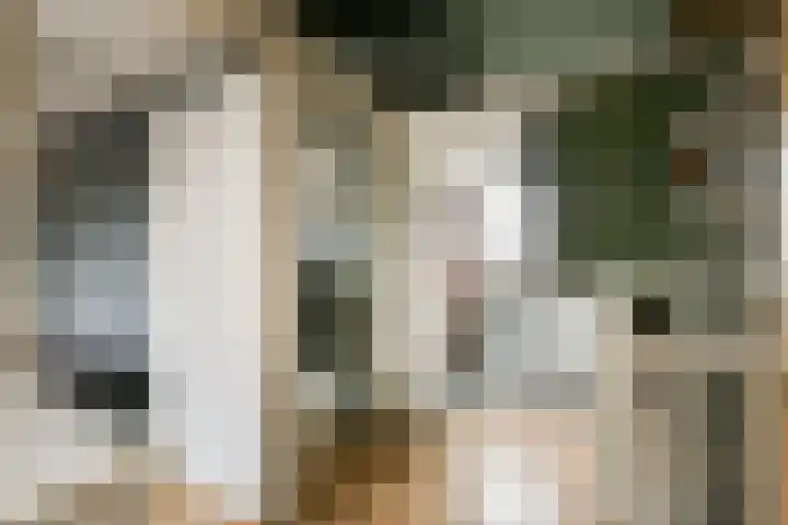 Kuifvlinder 12 Diemen thumbnail 16