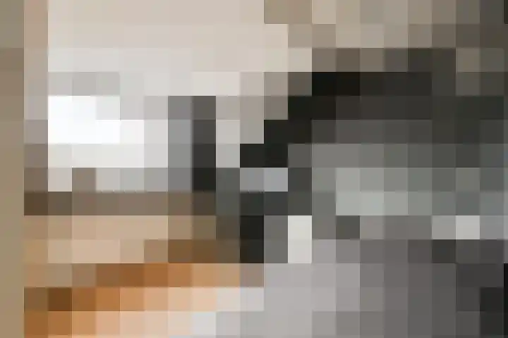 Kuifvlinder 12 Diemen thumbnail 17