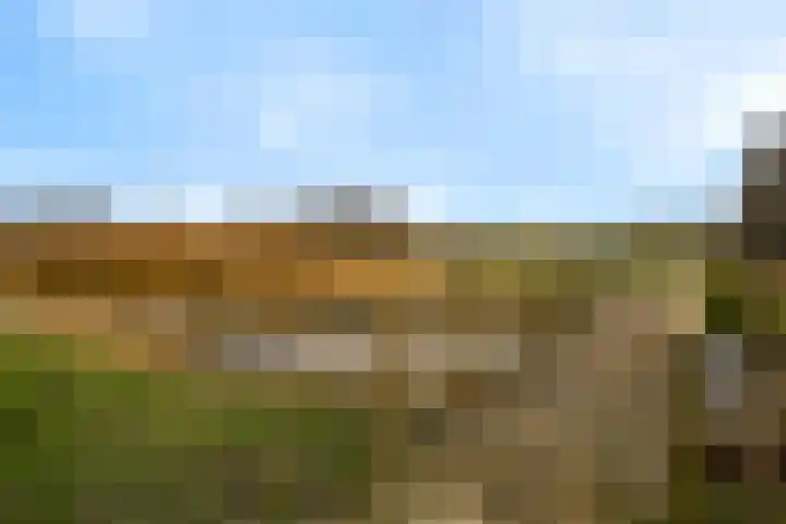 Kuifvlinder 12 Diemen thumbnail 19