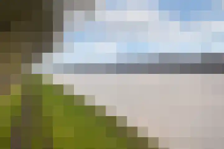Kuifvlinder 12 Diemen thumbnail 20