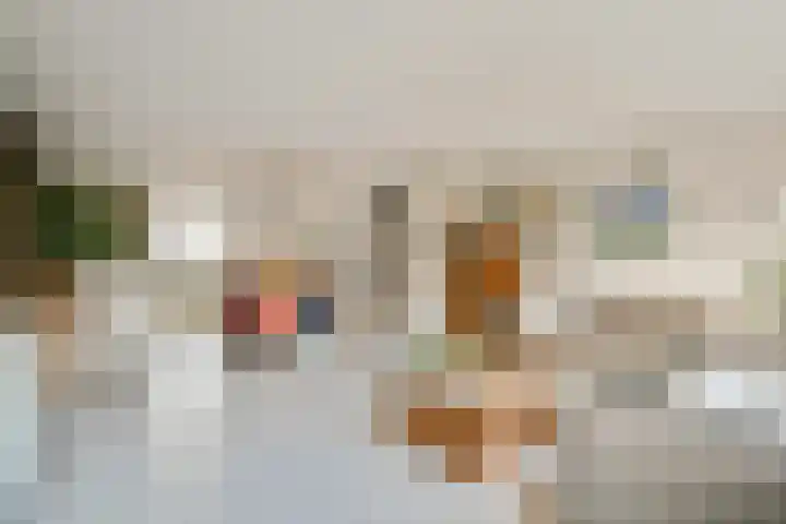 Kuifvlinder 12 Diemen thumbnail 4