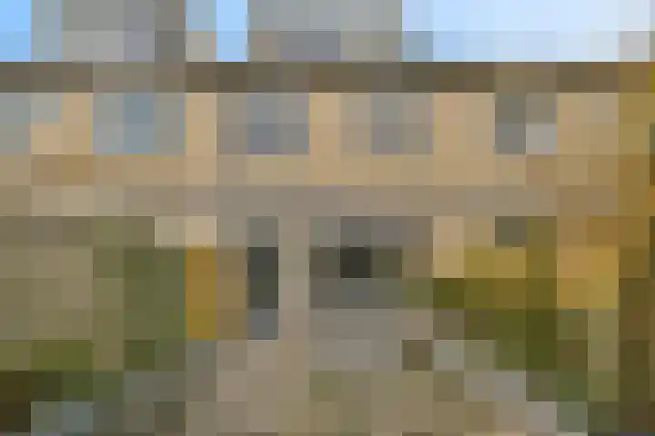 Kuifvlinder 12 Diemen thumbnail 8