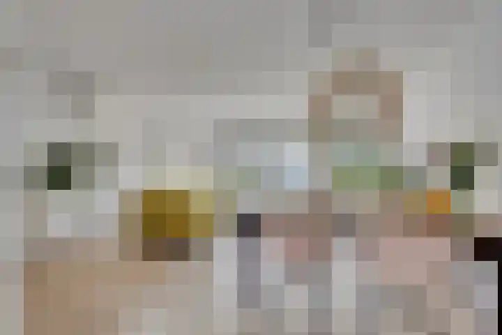 Kuifvlinder 16 Diemen thumbnail 13