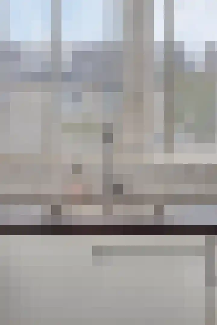 Kuifvlinder 16 Diemen thumbnail 15