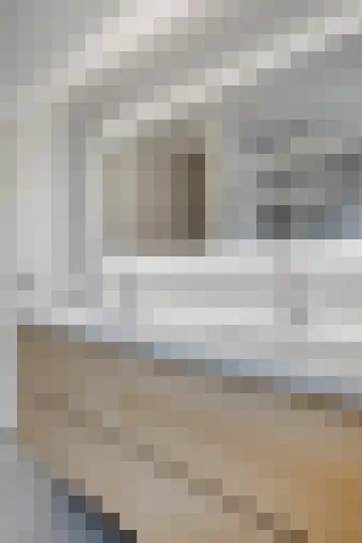 Kuifvlinder 16 Diemen thumbnail 22
