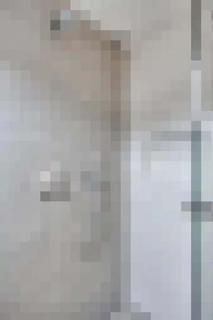 Kuifvlinder 16 Diemen thumbnail 23