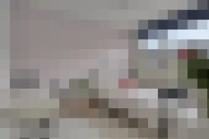 Kuifvlinder 16 Diemen thumbnail 24