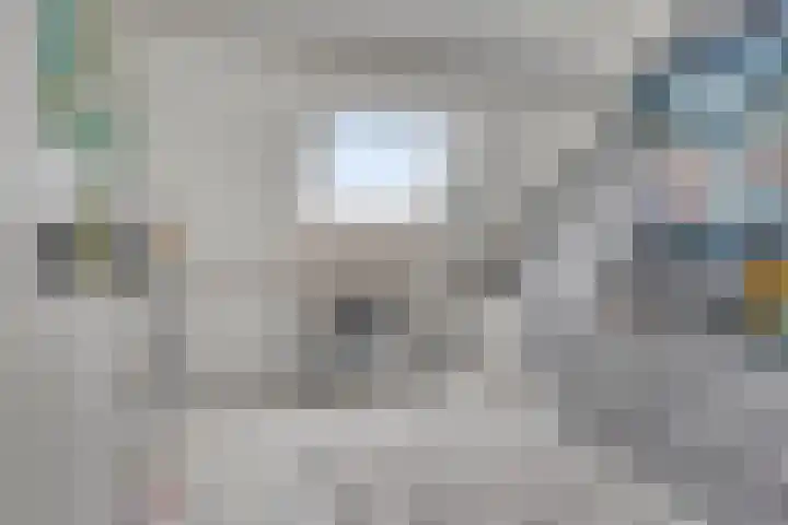 Kuifvlinder 16 Diemen thumbnail 28
