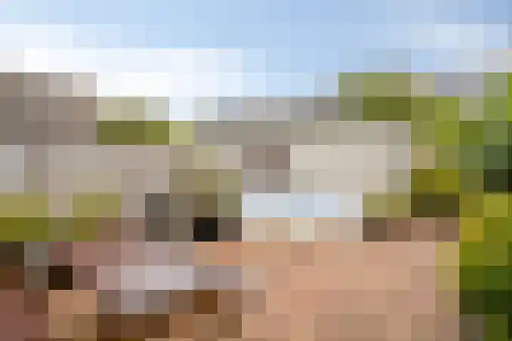 Kuifvlinder 16 Diemen thumbnail 30