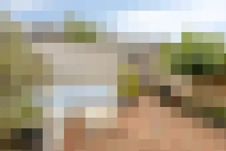 Kuifvlinder 16 Diemen thumbnail 31