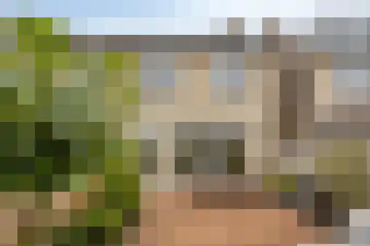 Kuifvlinder 16 Diemen thumbnail 32