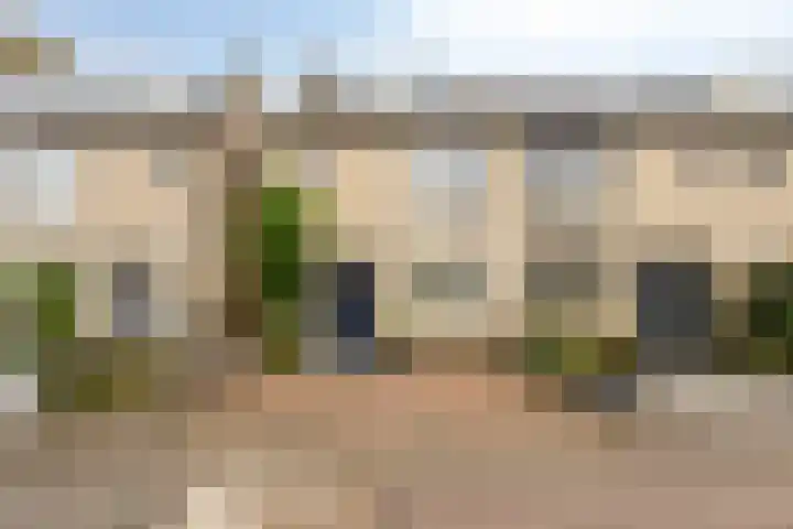 Kuifvlinder 16 Diemen thumbnail 4
