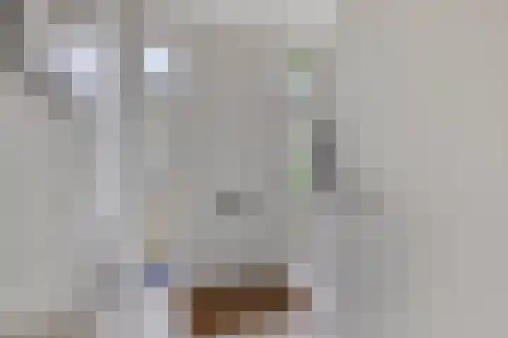 Kuifvlinder 16 Diemen thumbnail 6