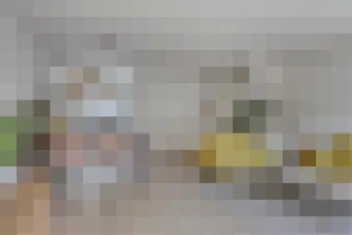 Kuifvlinder 16 Diemen thumbnail 7
