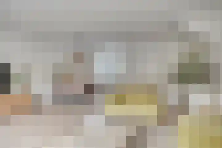 Kuifvlinder 16 Diemen thumbnail 8