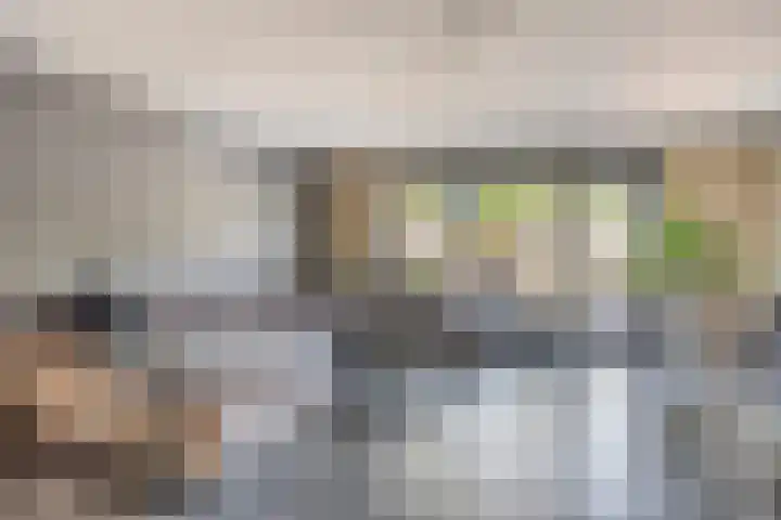 Kuifvlinder 6 Enschede thumbnail 10