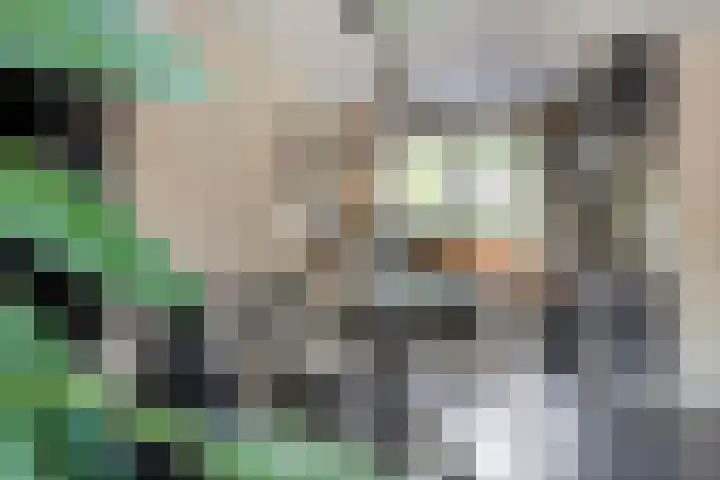 Kuifvlinder 6 Enschede thumbnail 12