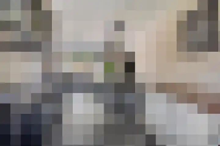 Kuifvlinder 6 Enschede thumbnail 13