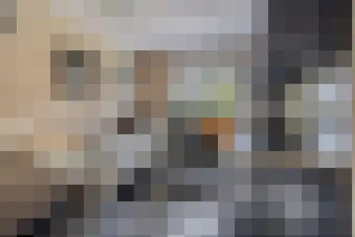 Kuifvlinder 6 Enschede thumbnail 14