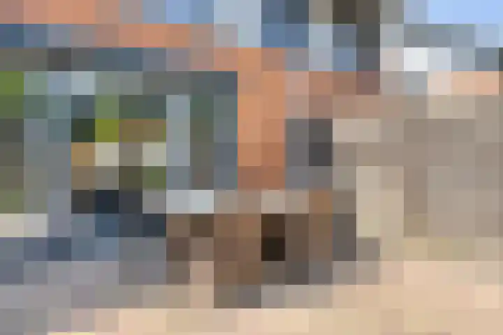 Kuifvlinder 6 Enschede thumbnail 25