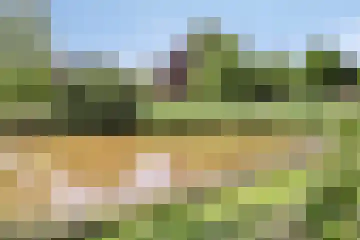 Kuifvlinder 6 Enschede thumbnail 29