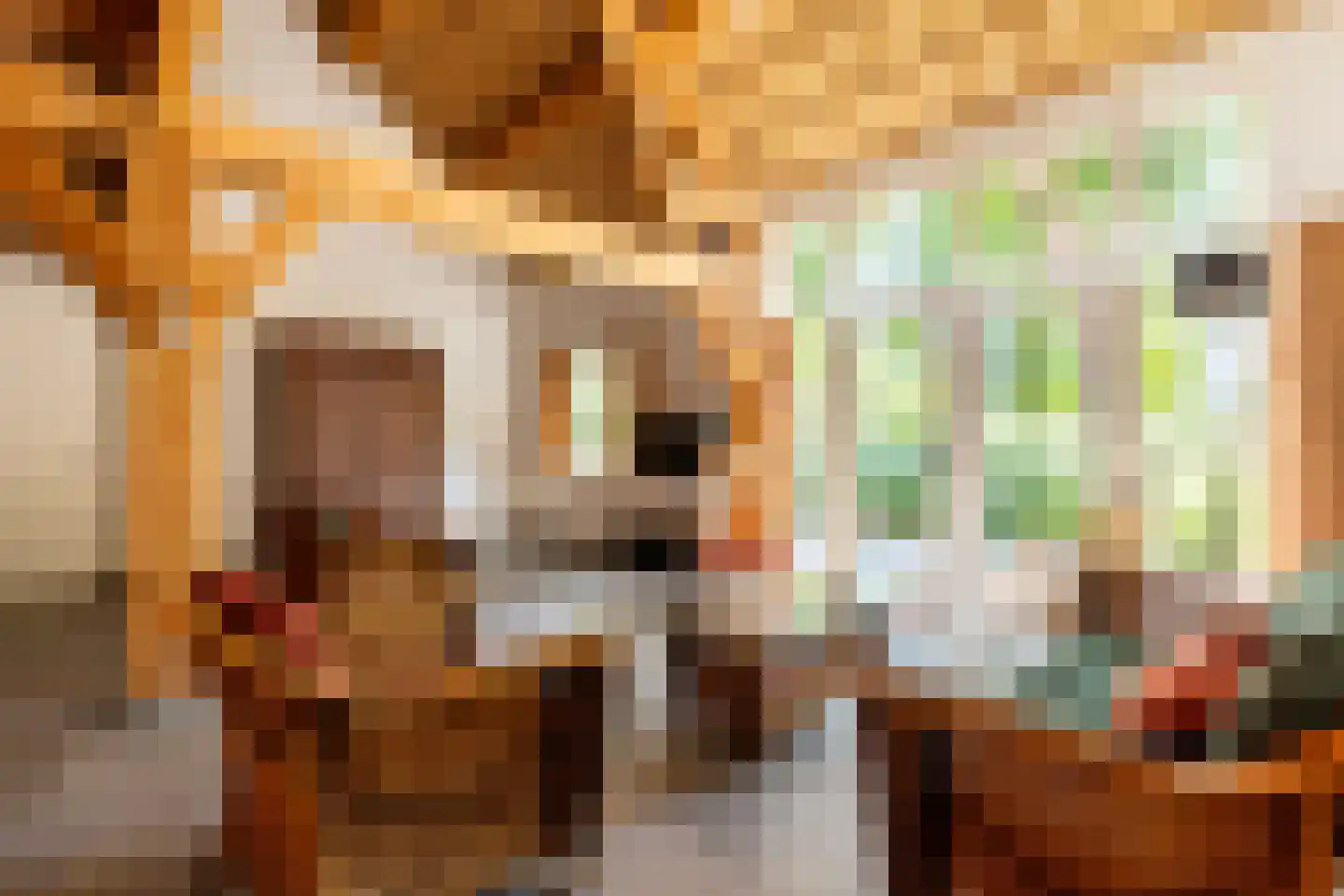 Kuijerdamseweg 33 Ellemeet thumbnail 102