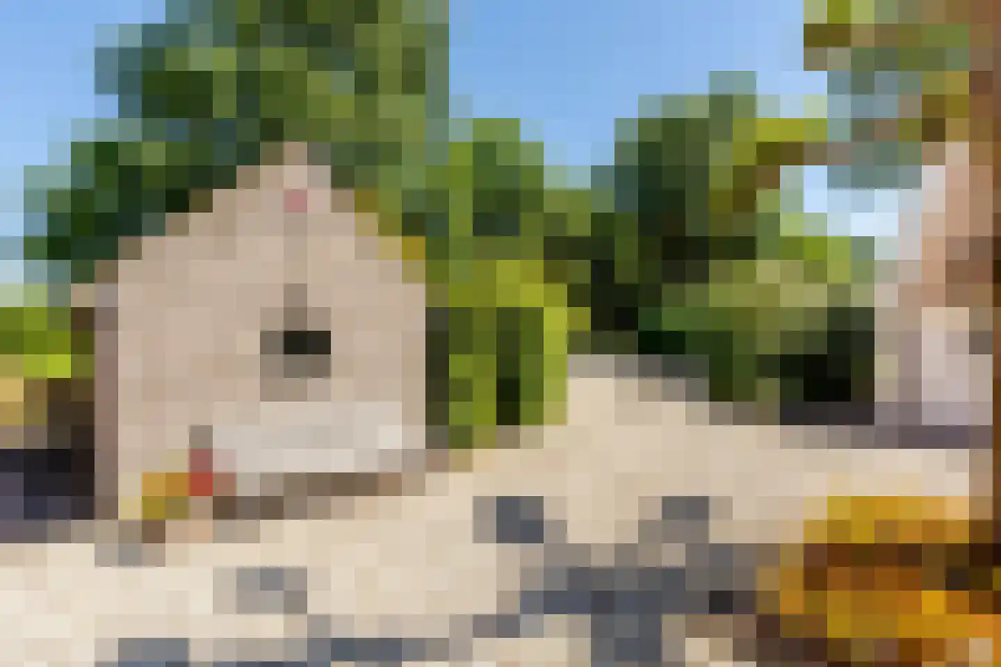 Kuijerdamseweg 33 Ellemeet thumbnail 122