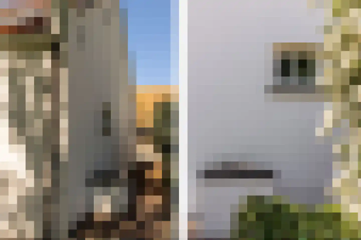 Kuijerdamseweg 33 Ellemeet thumbnail 123