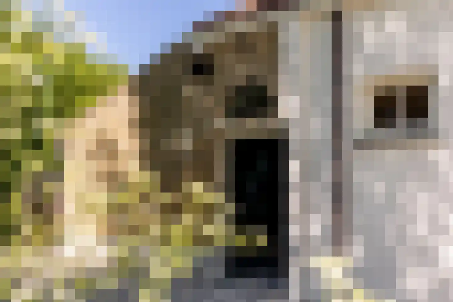 Kuijerdamseweg 33 Ellemeet thumbnail 127