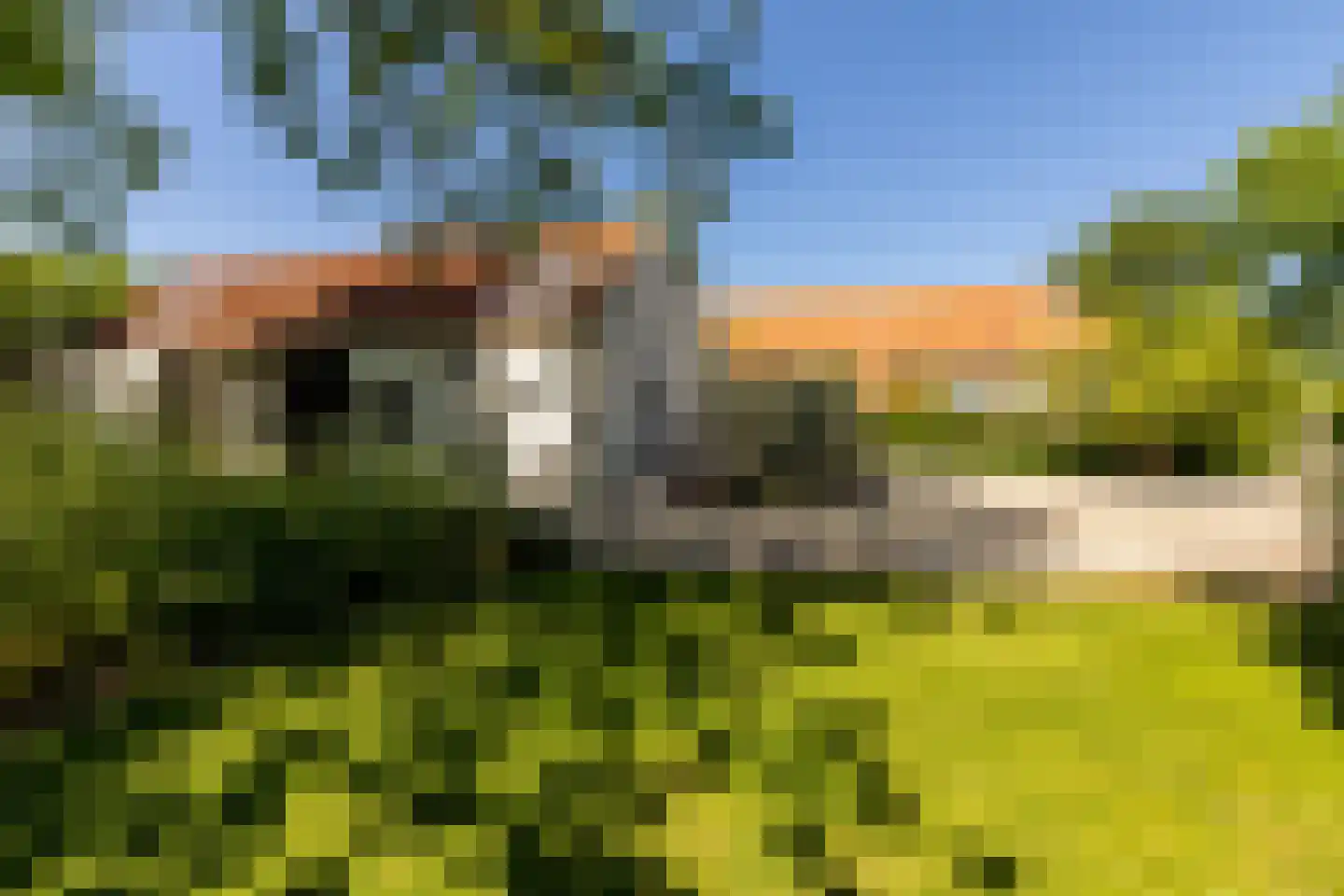 Kuijerdamseweg 33 Ellemeet thumbnail 131