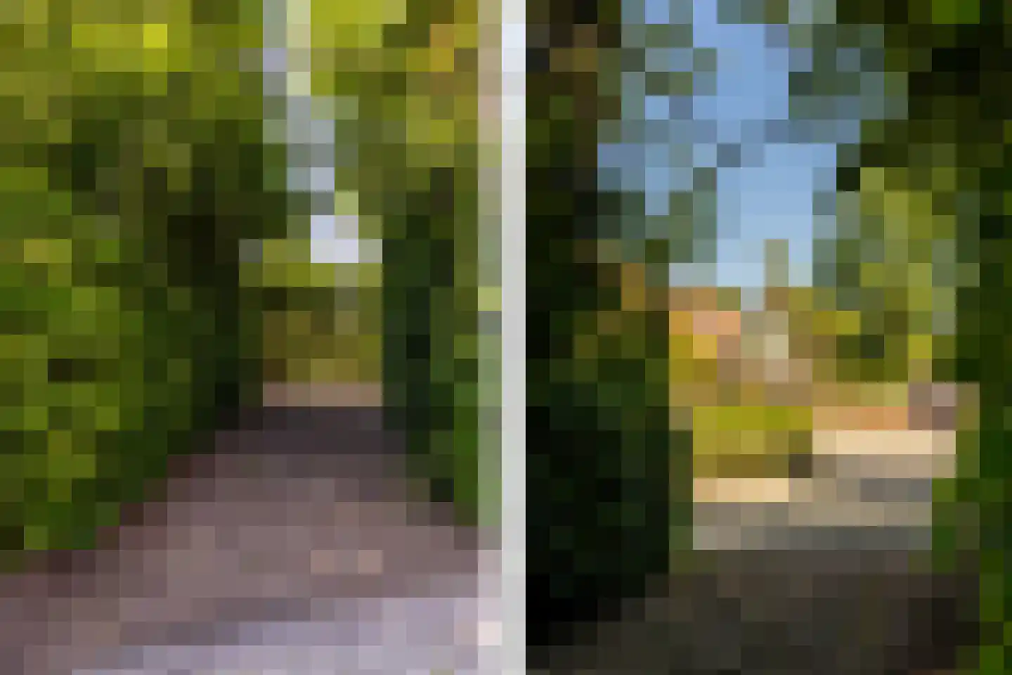 Kuijerdamseweg 33 Ellemeet thumbnail 132