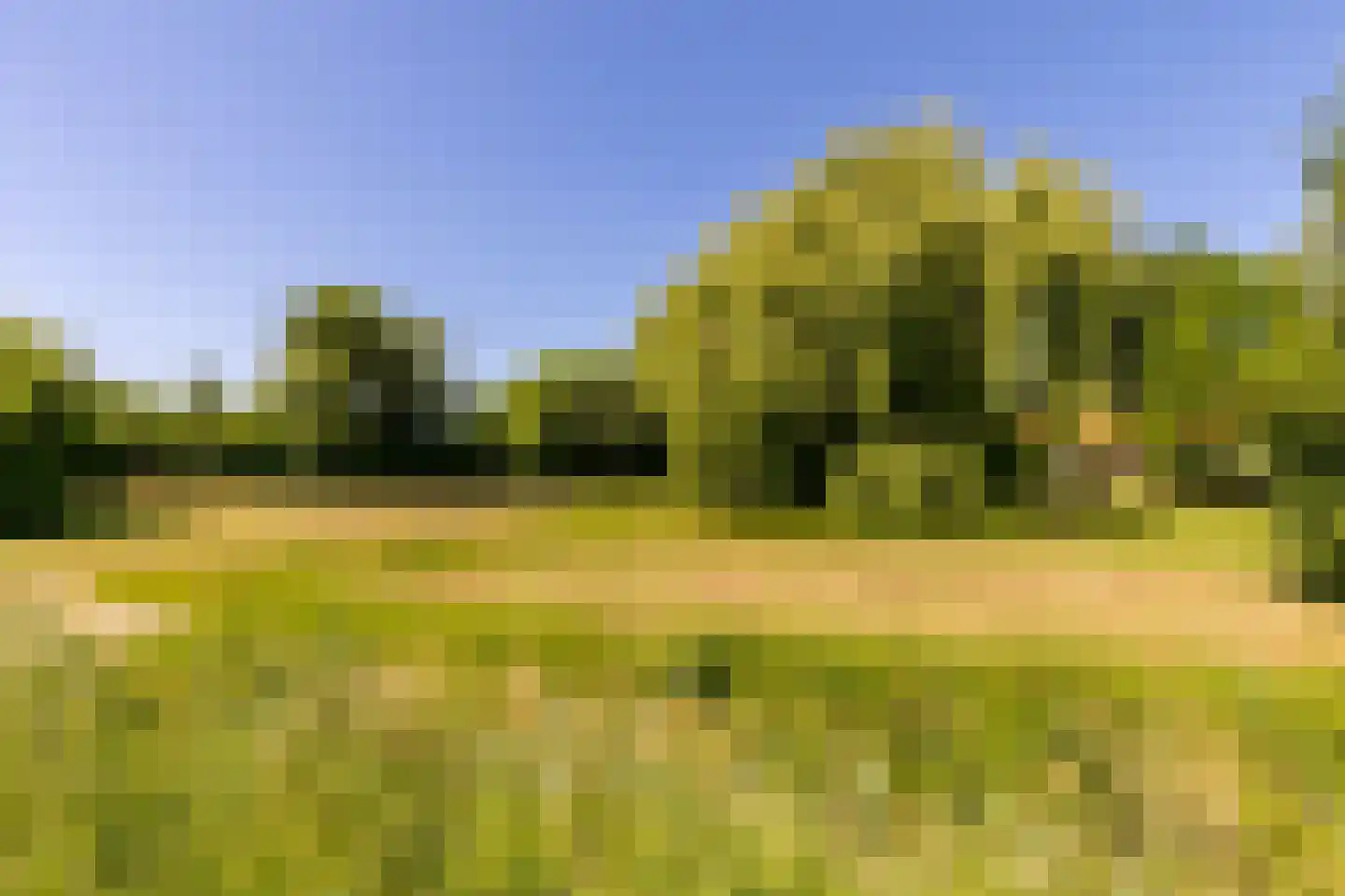 Kuijerdamseweg 33 Ellemeet thumbnail 134