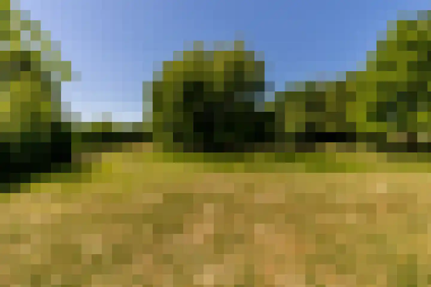 Kuijerdamseweg 33 Ellemeet thumbnail 135