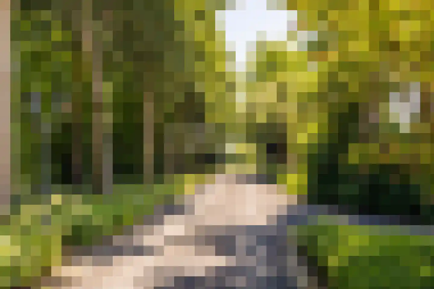 Kuijerdamseweg 33 Ellemeet thumbnail 136