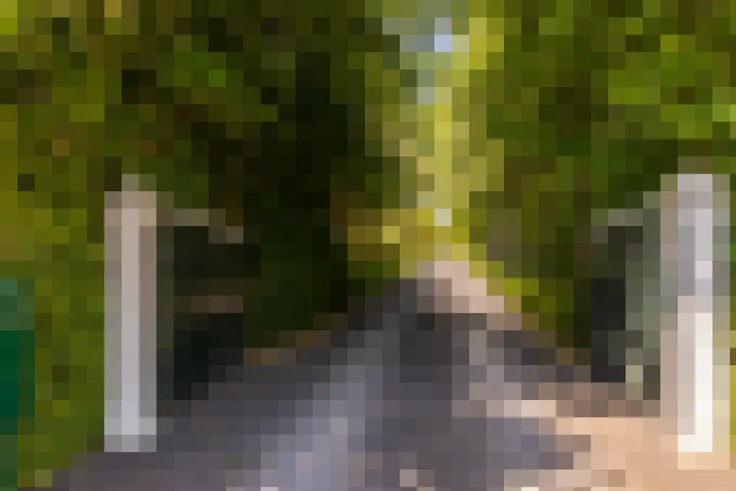 Kuijerdamseweg 33 Ellemeet thumbnail 137