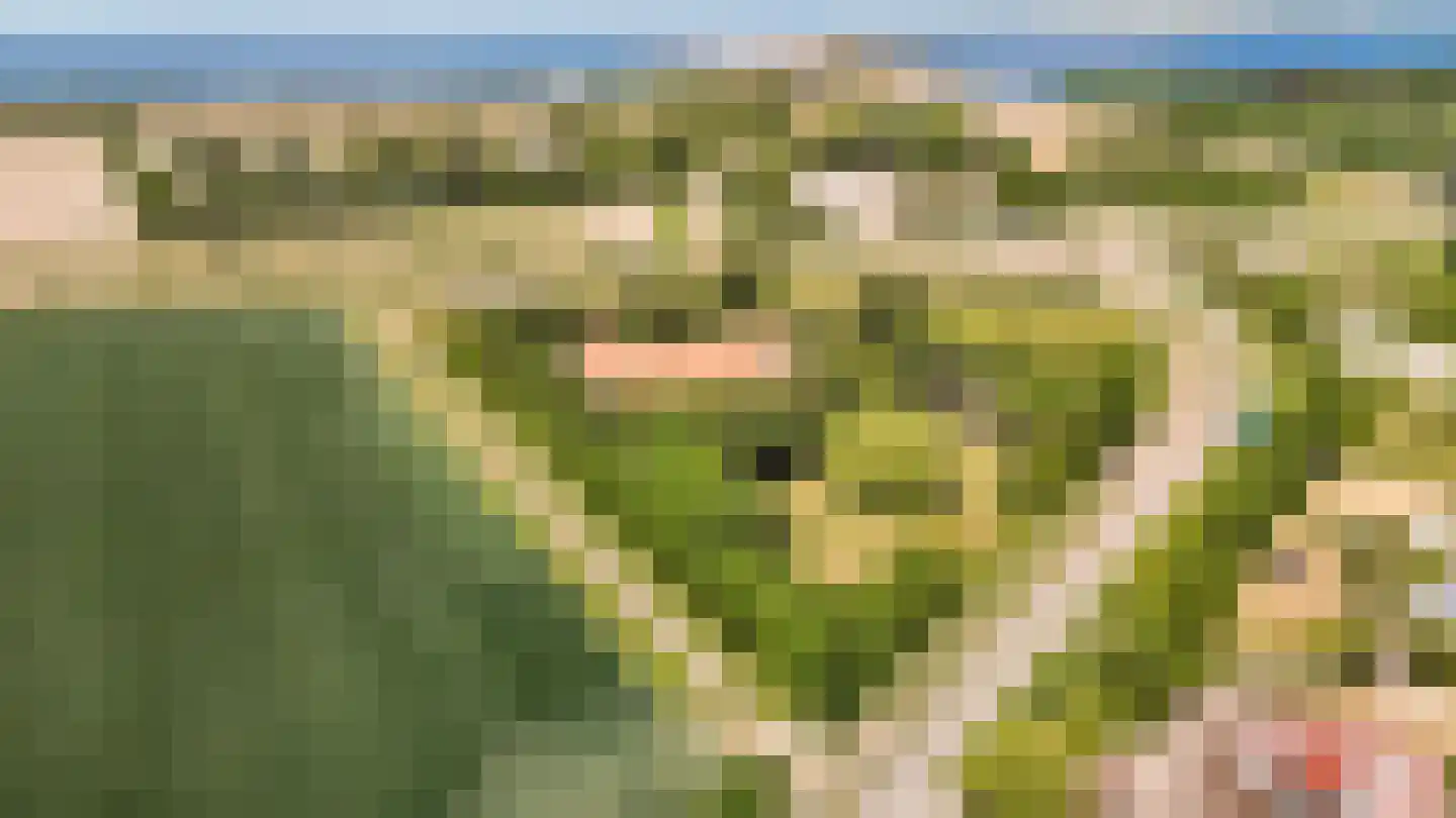 Kuijerdamseweg 33 Ellemeet thumbnail 140