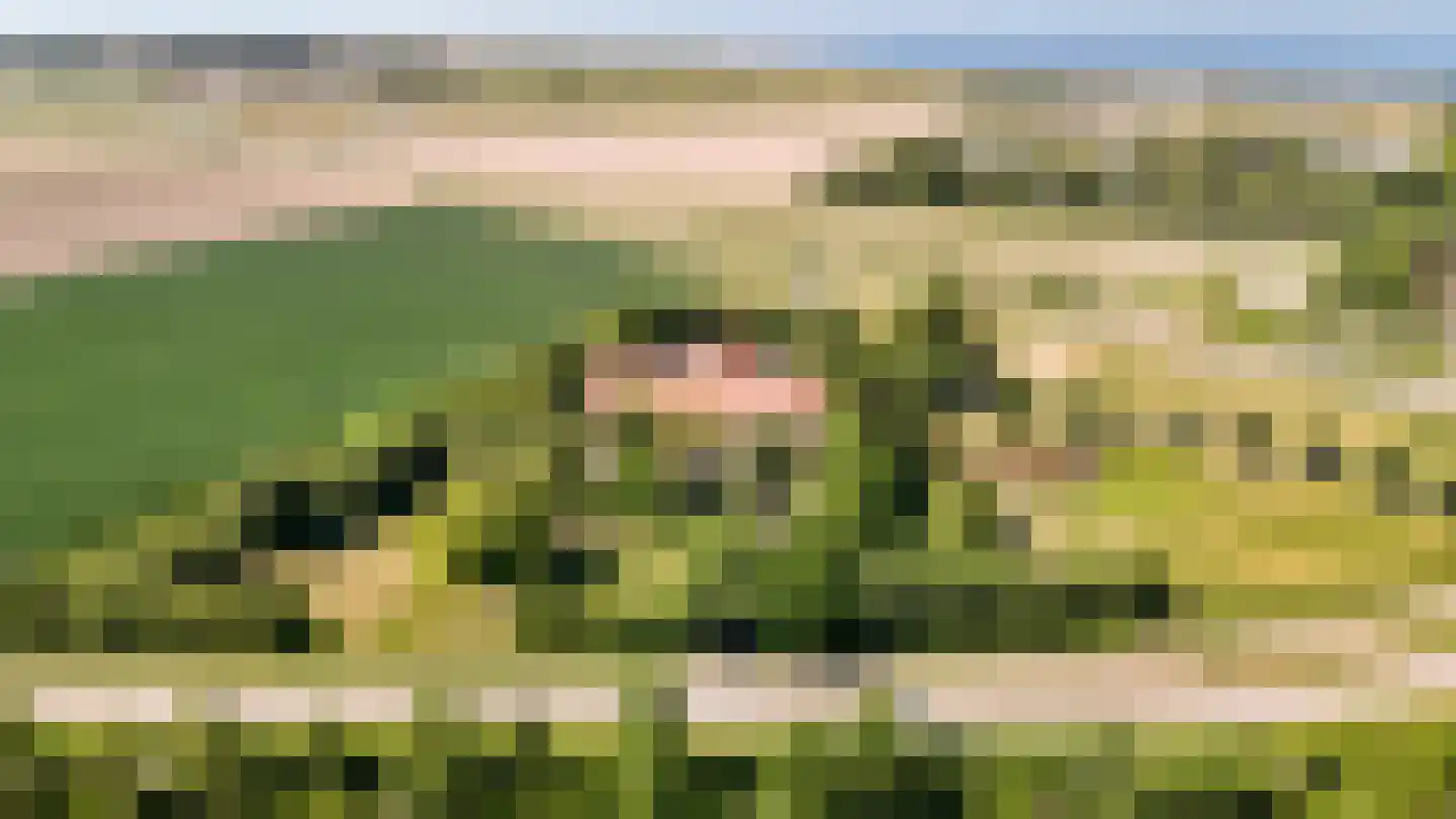 Kuijerdamseweg 33 Ellemeet thumbnail 141