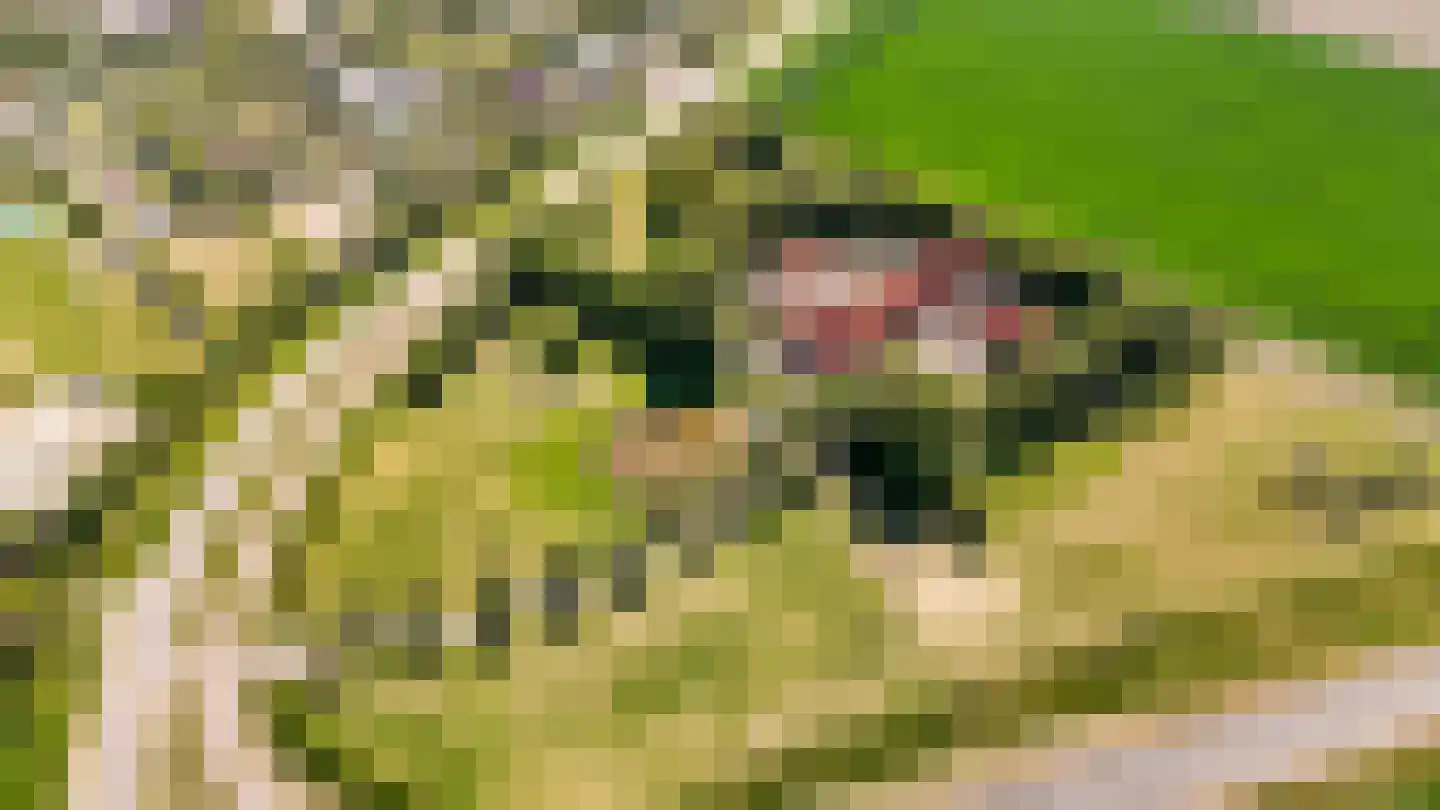 Kuijerdamseweg 33 Ellemeet thumbnail 142