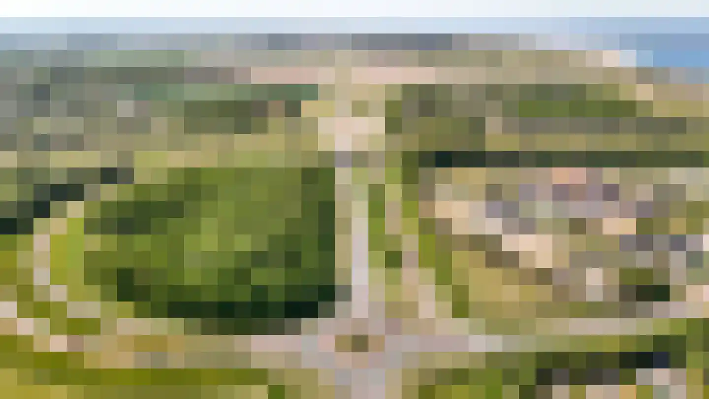 Kuijerdamseweg 33 Ellemeet thumbnail 144