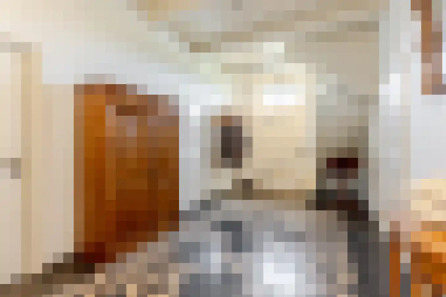 Kuijerdamseweg 33 Ellemeet thumbnail 18