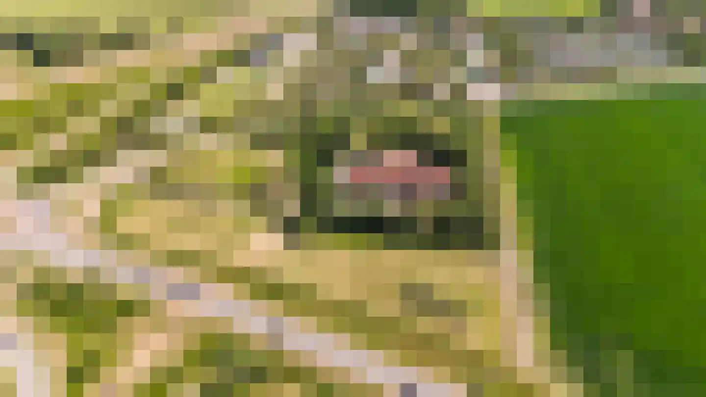 Kuijerdamseweg 33 Ellemeet thumbnail 4