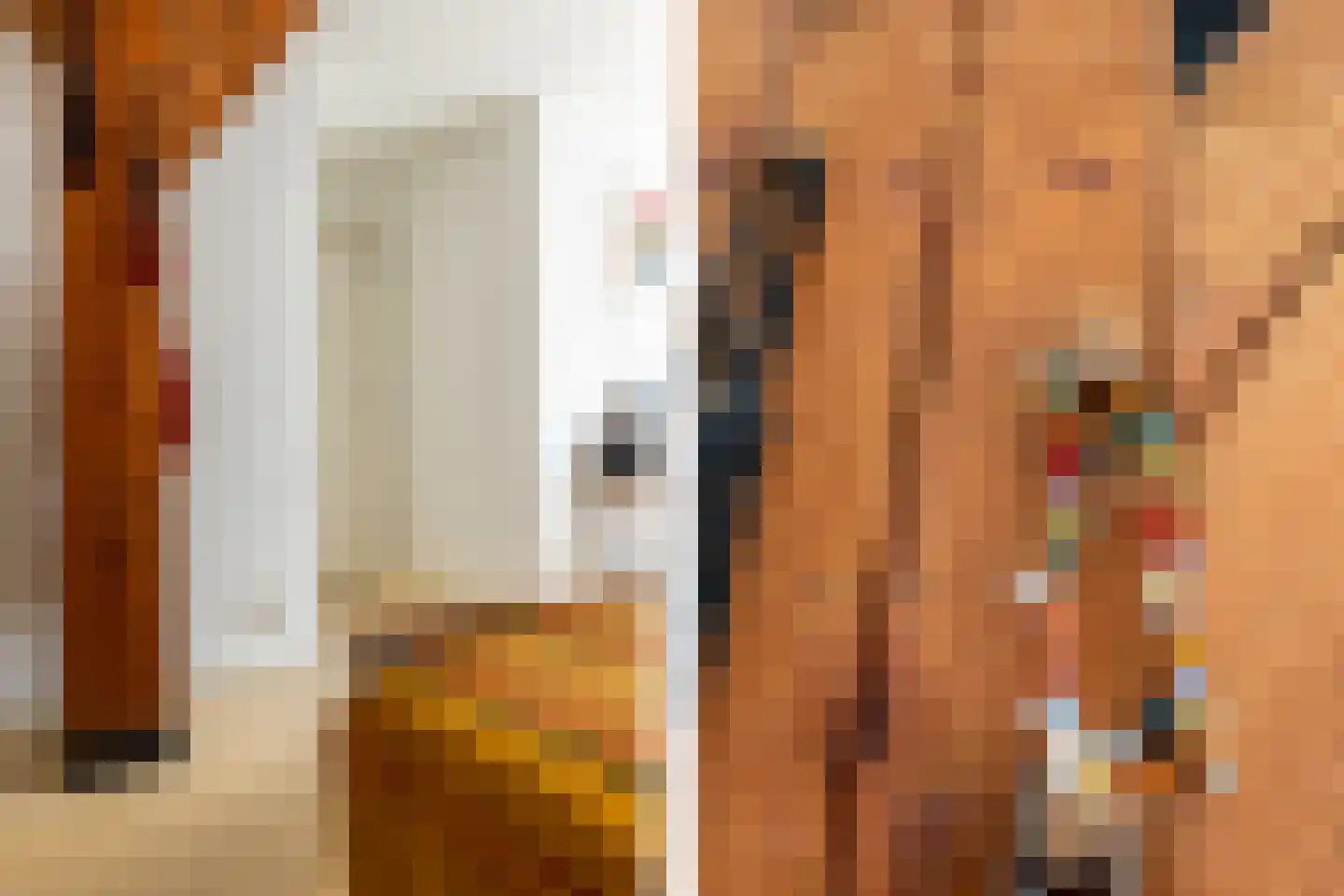 Kuijerdamseweg 33 Ellemeet thumbnail 41