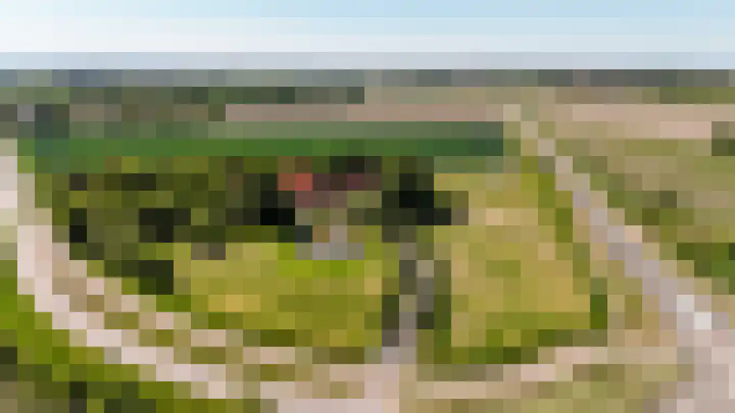 Kuijerdamseweg 33 Ellemeet thumbnail 5