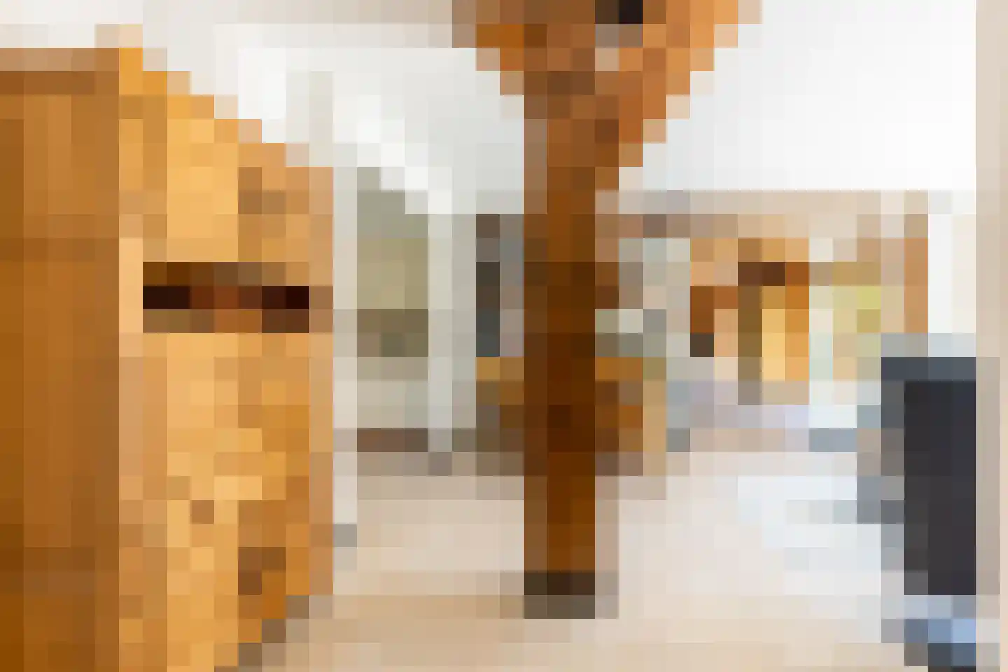 Kuijerdamseweg 33 Ellemeet thumbnail 63