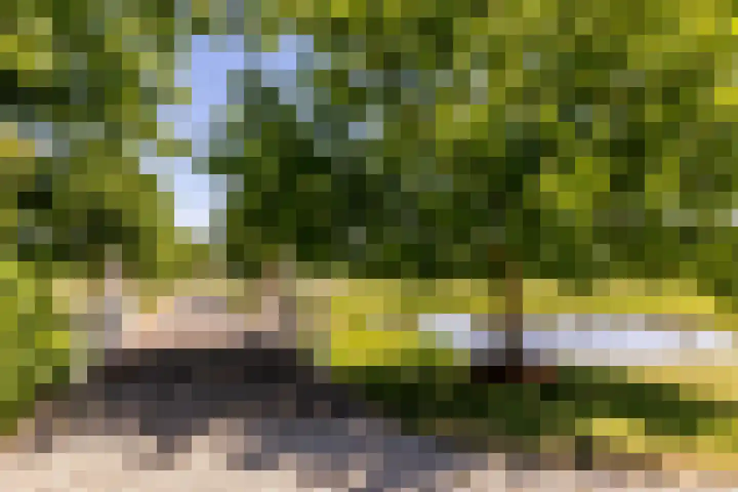 Kuijerdamseweg 33 Ellemeet thumbnail 7