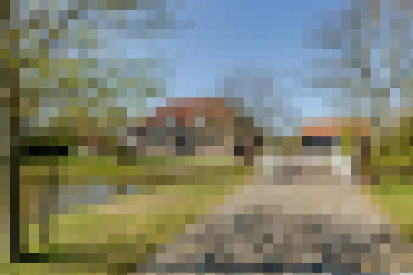Kuijerdamseweg 33 Ellemeet thumbnail 9