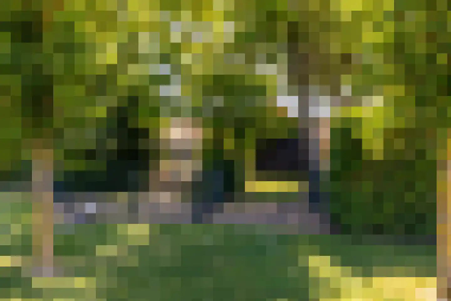 Kuijerdamseweg 33 Ellemeet thumbnail 91