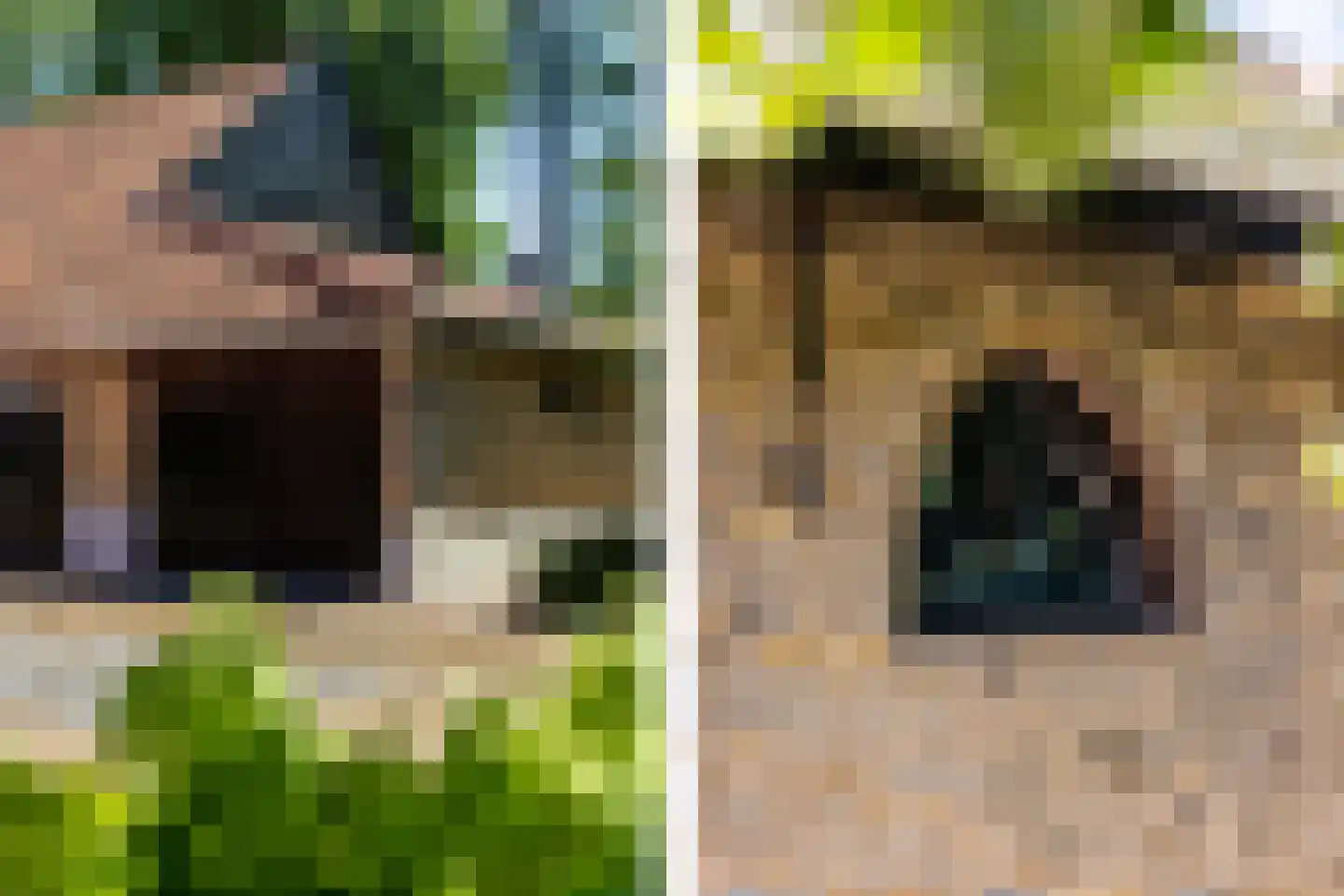 Kuijerdamseweg 33 Ellemeet thumbnail 95
